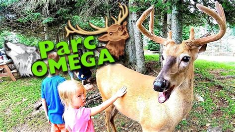 parc omega cost|omega park montreal.